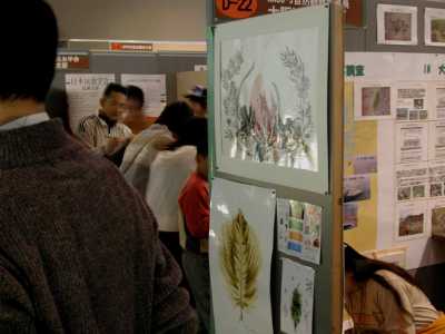 ���A����E�C�������t