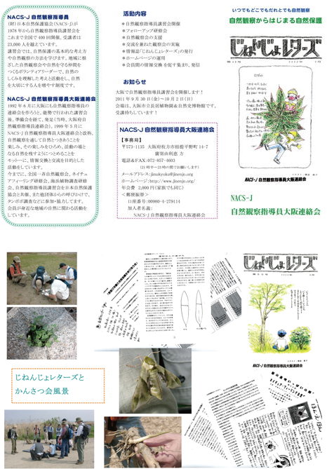 ���A����p���t�摜